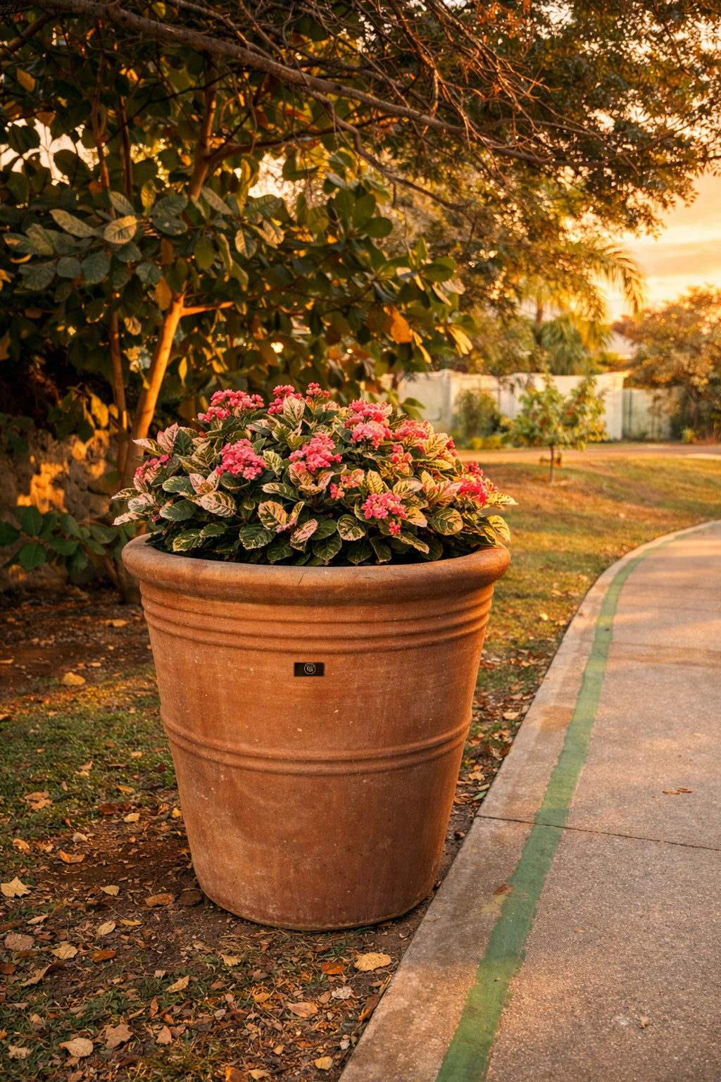Encino
