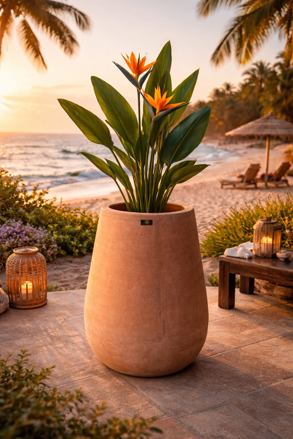 Ceiba
